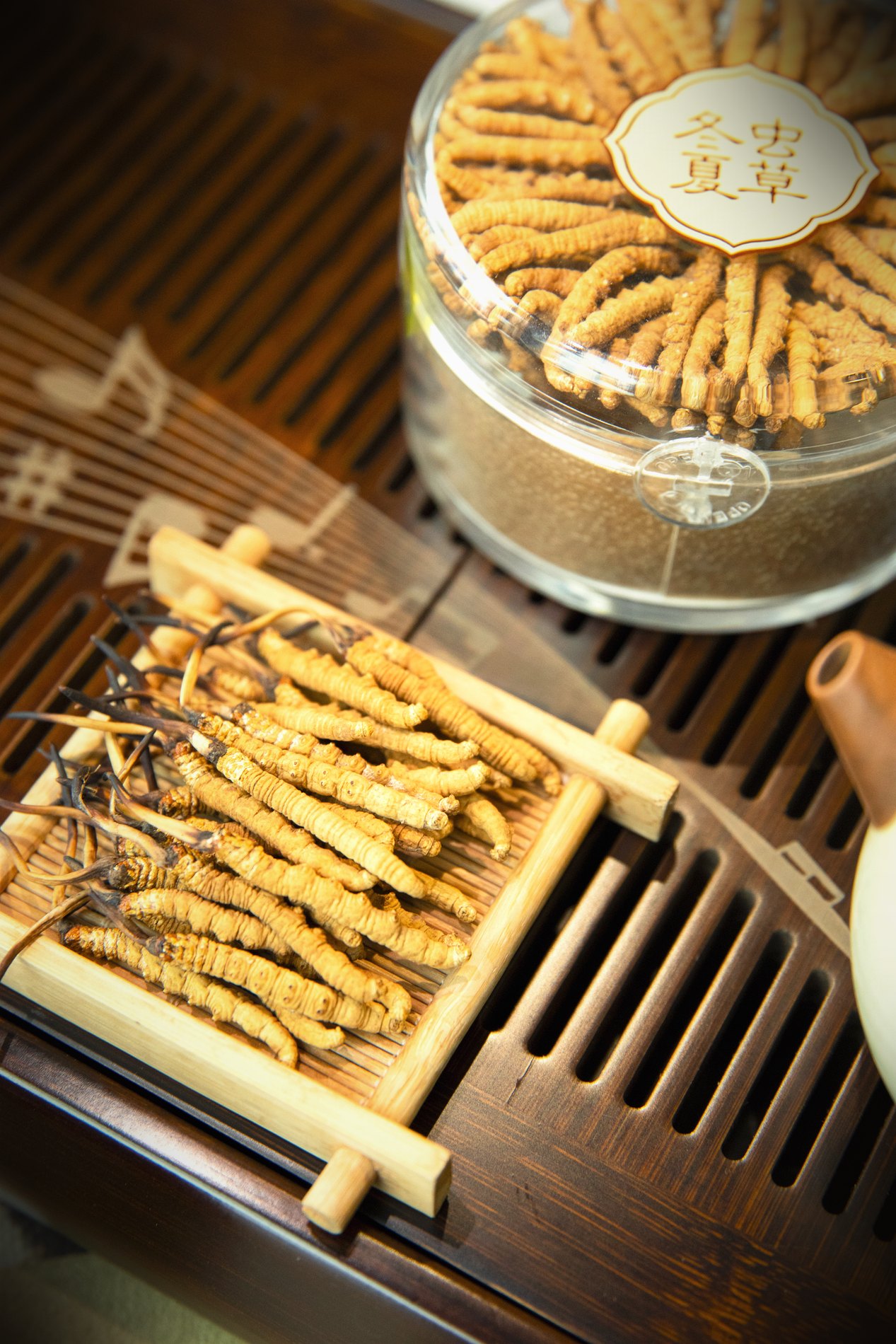 干虫草特写