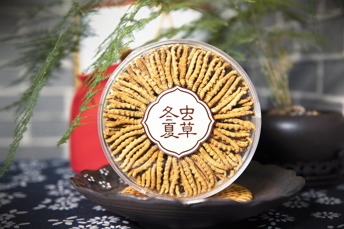 干虫草特写