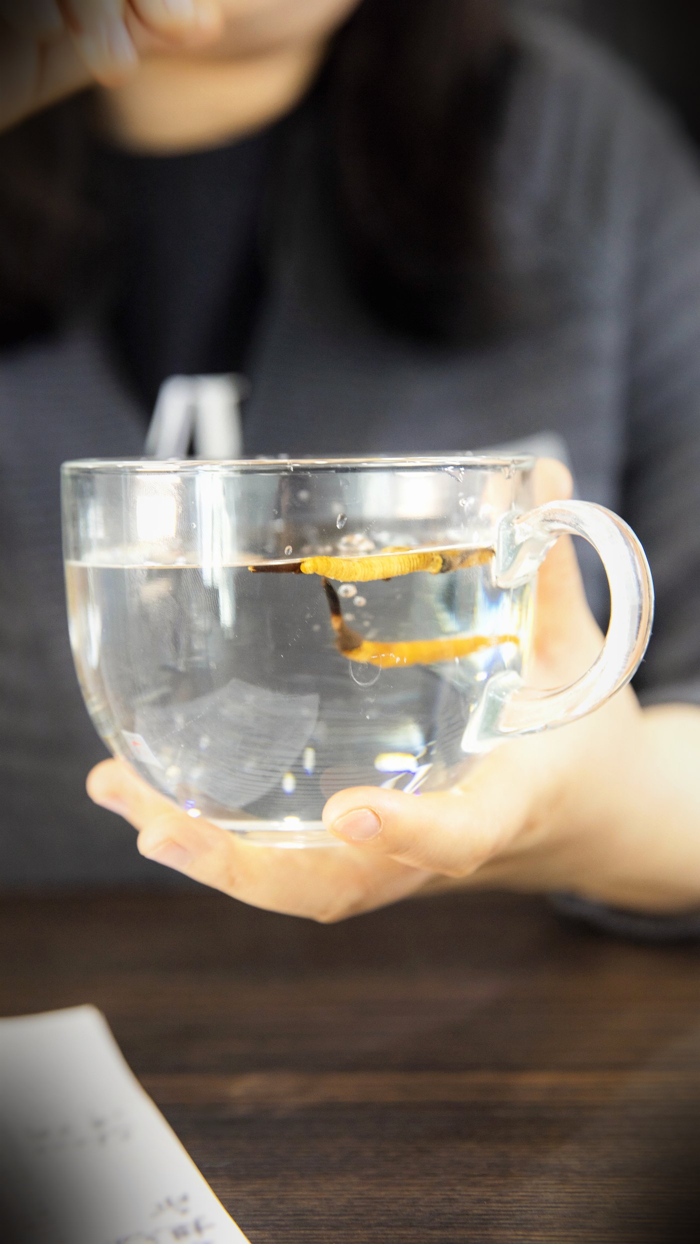 泡一杯虫草水
