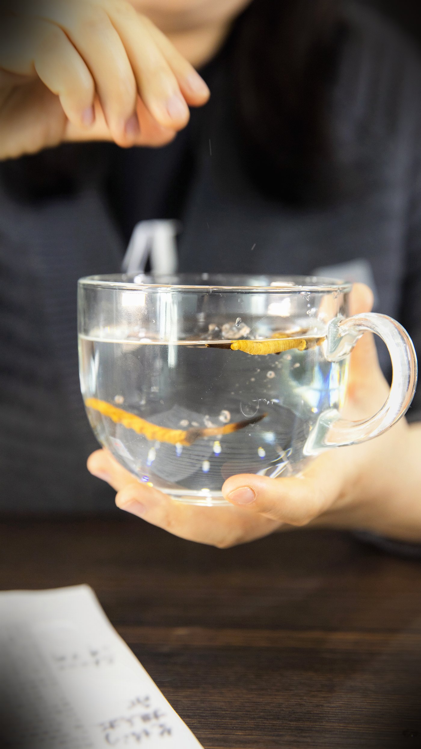泡一杯虫草水