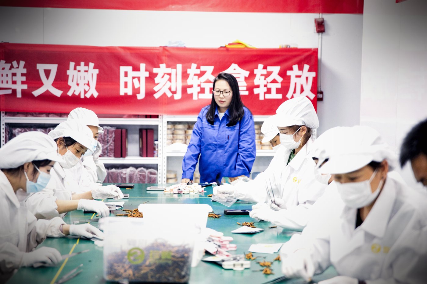 西宁车间 · 人工逐根精挑