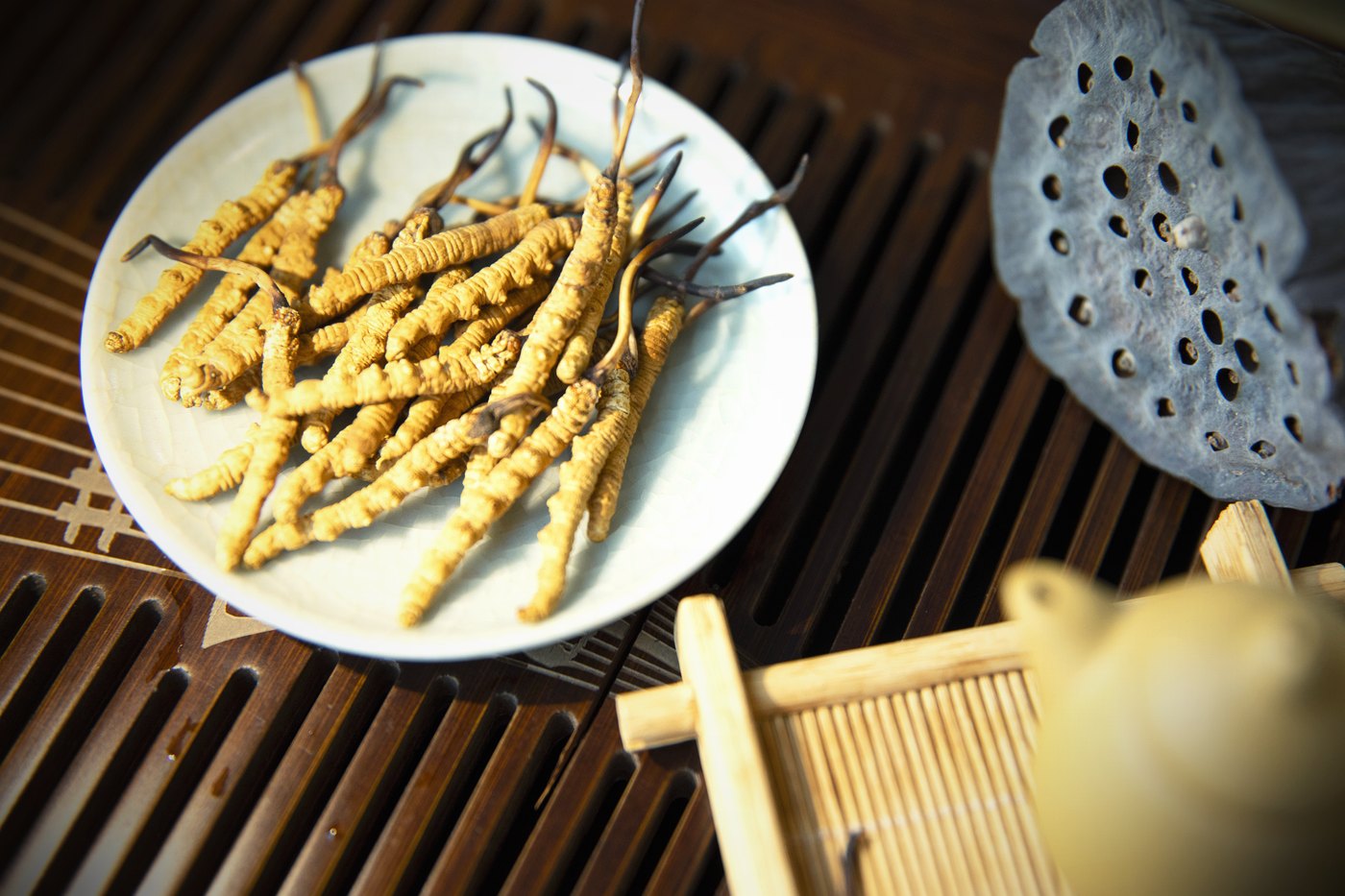 干虫草特写