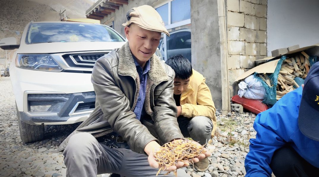 源头现收 · 草从牧民手里直接进仓库