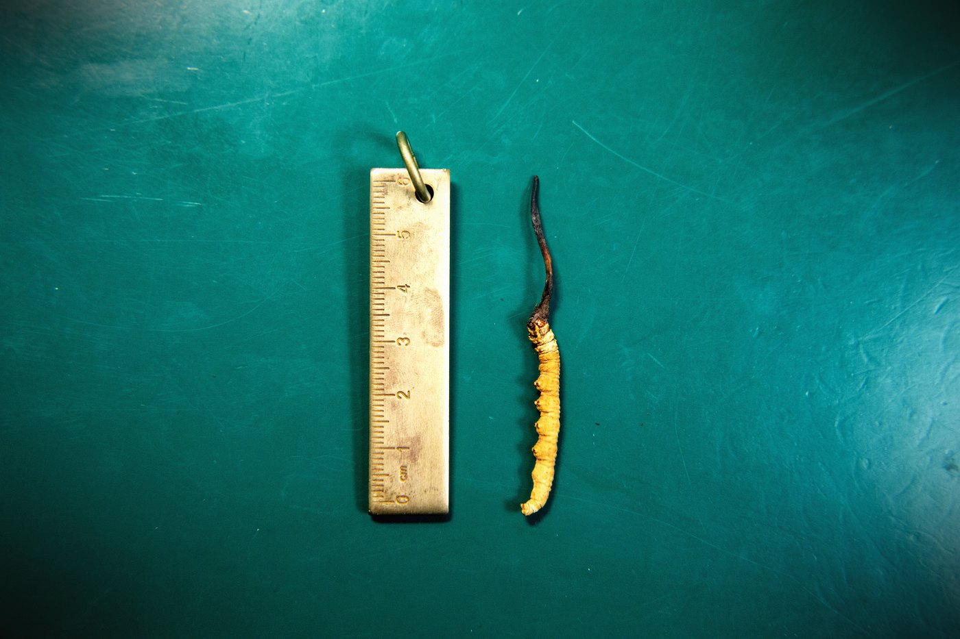 逐项对照