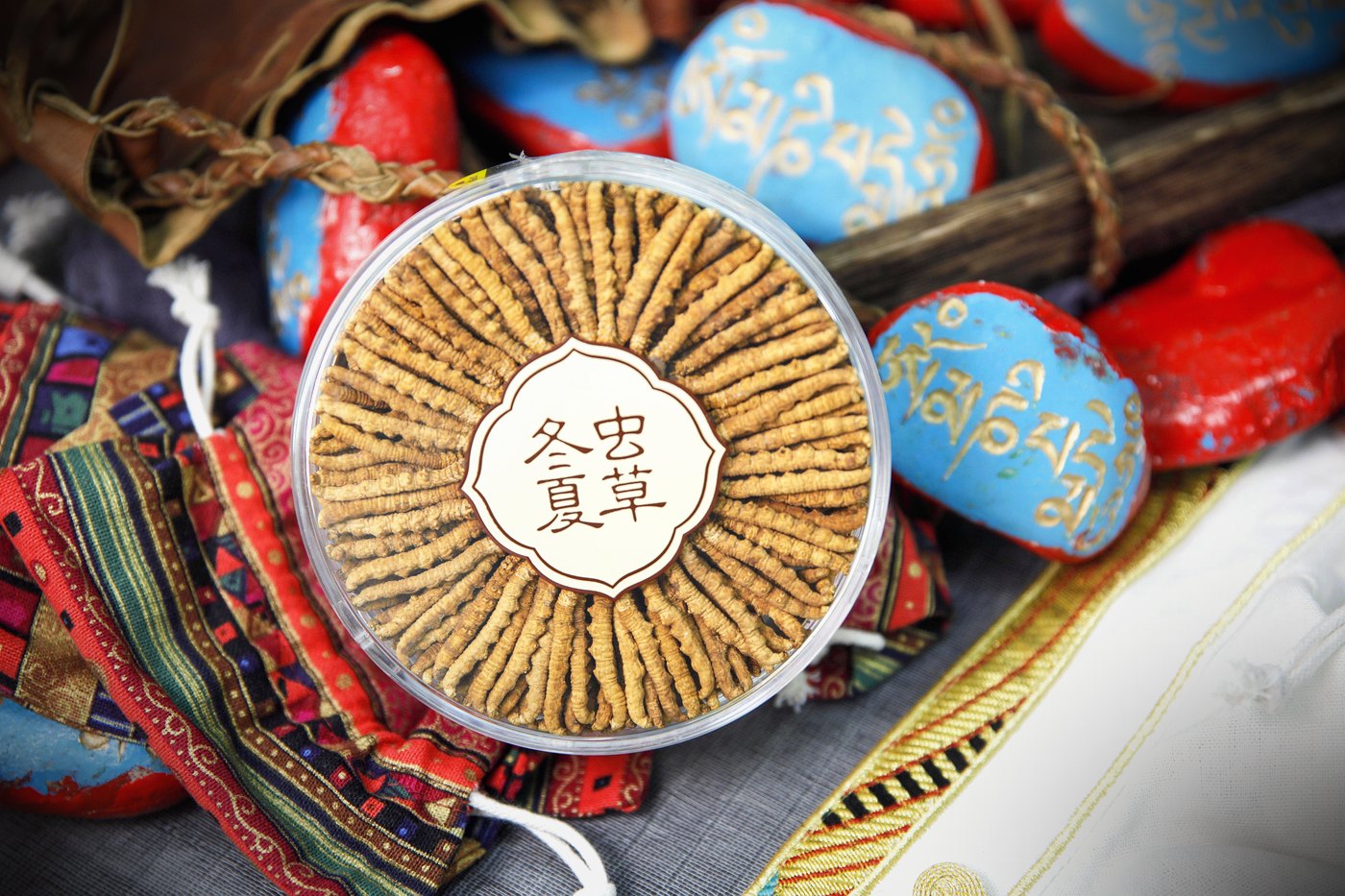 干虫草特写