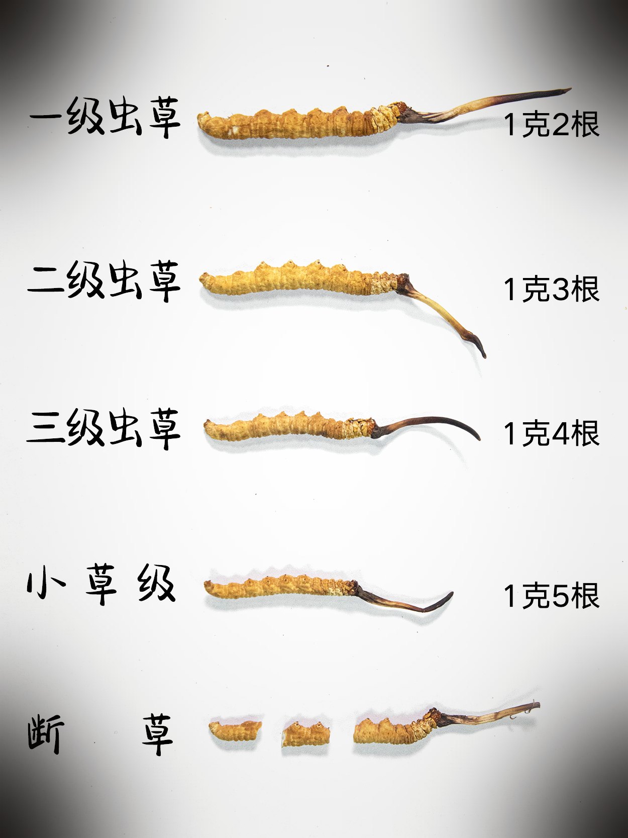 断草