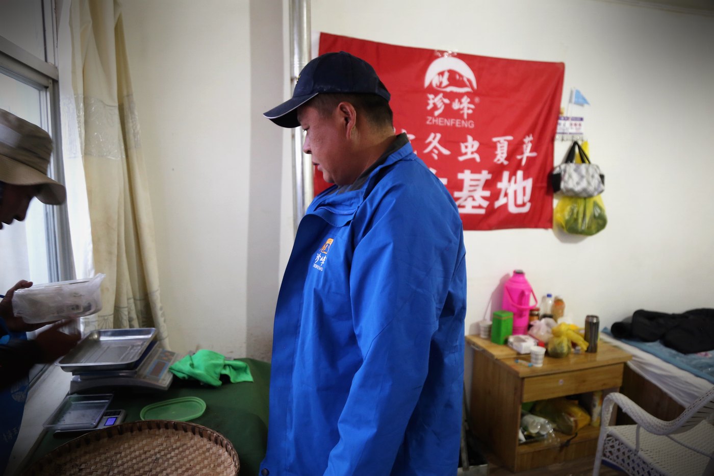 珍峰团队