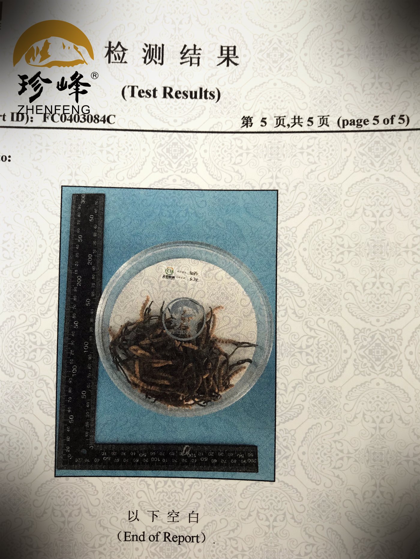 第三方检测报告