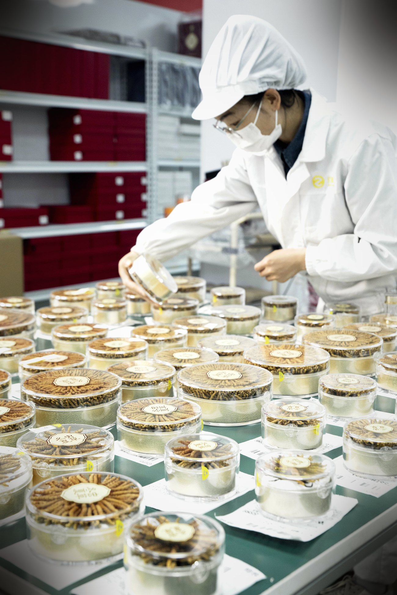 西宁无菌车间 · 人工逐根精挑