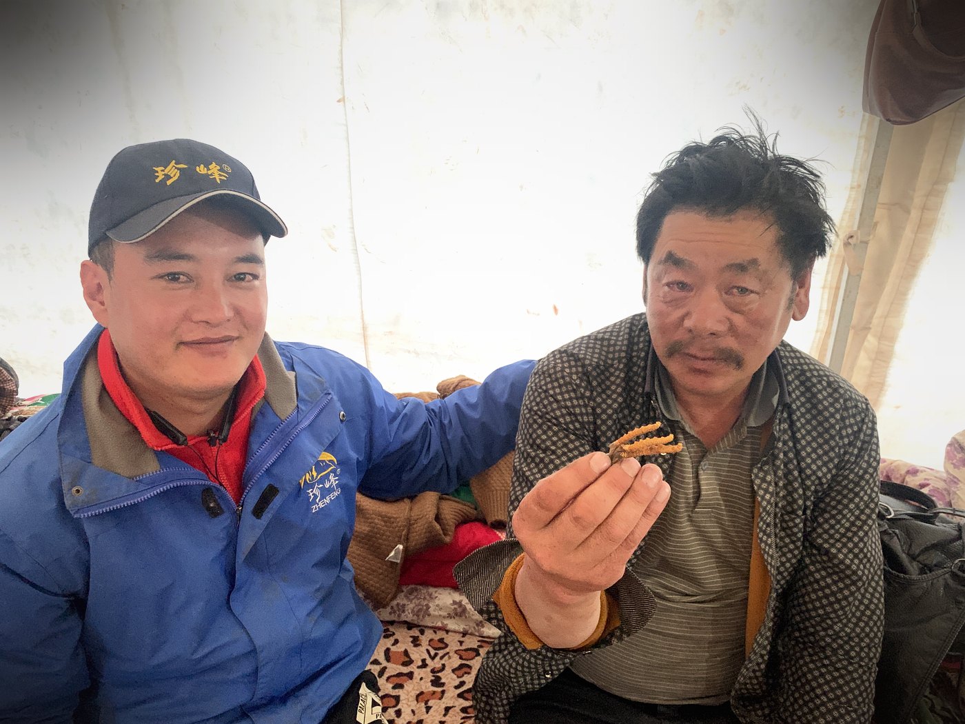 源头现收