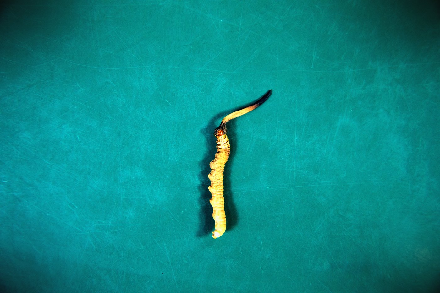 逐项对照