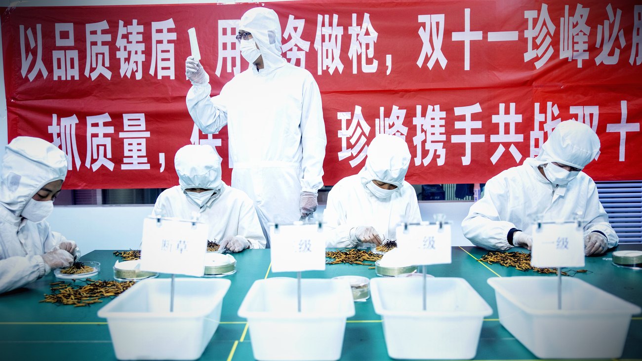 西宁无菌车间 · 人工逐根精挑