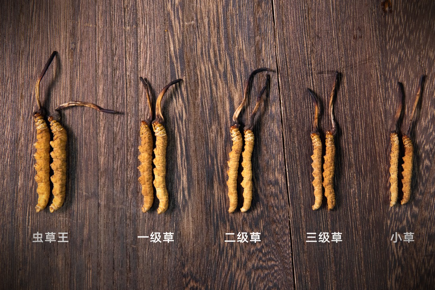等级实物比对