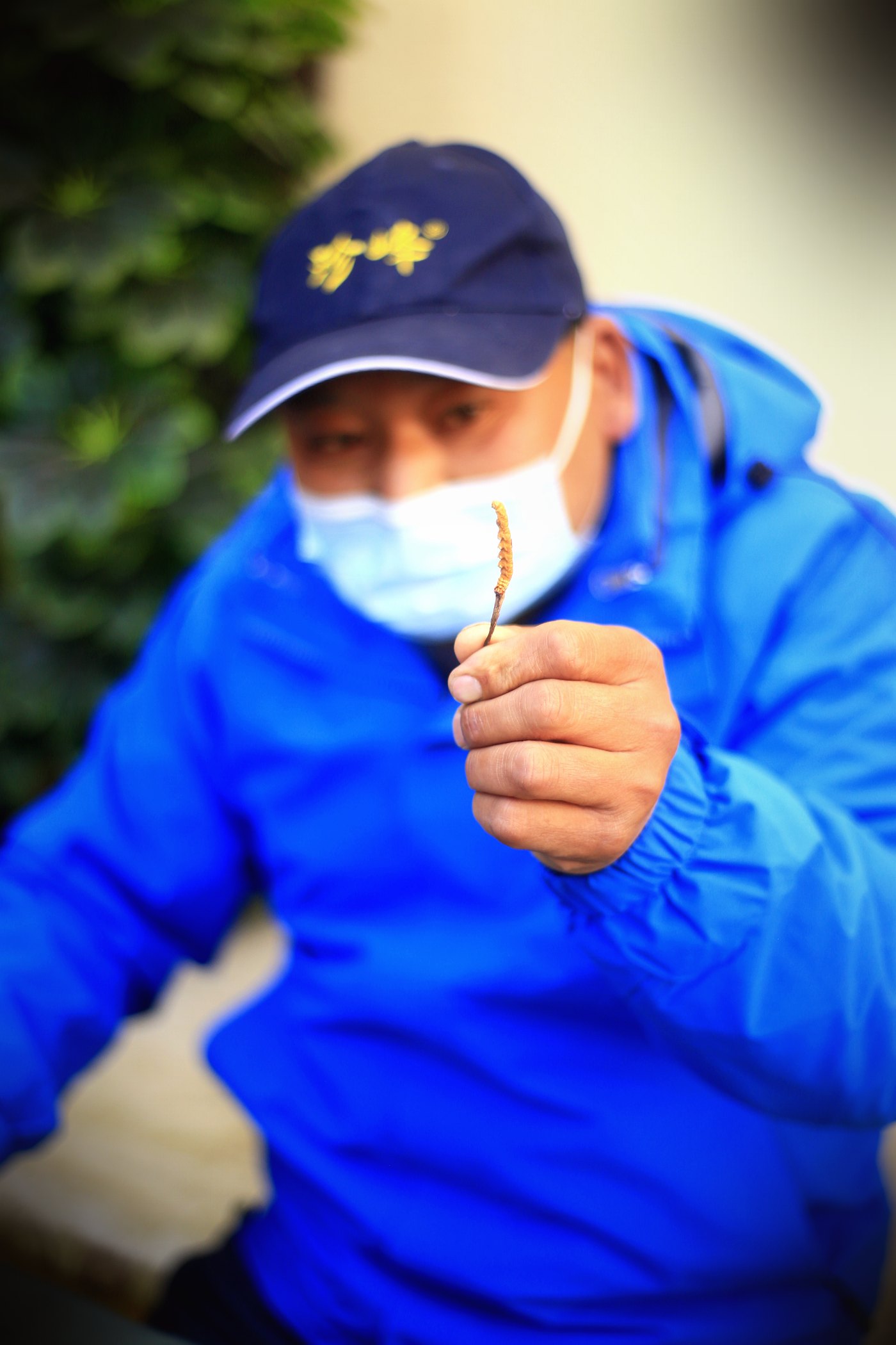 源头现收 · 草从牧民手里直接进仓库