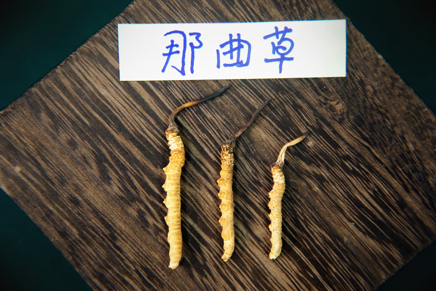 逐项对照