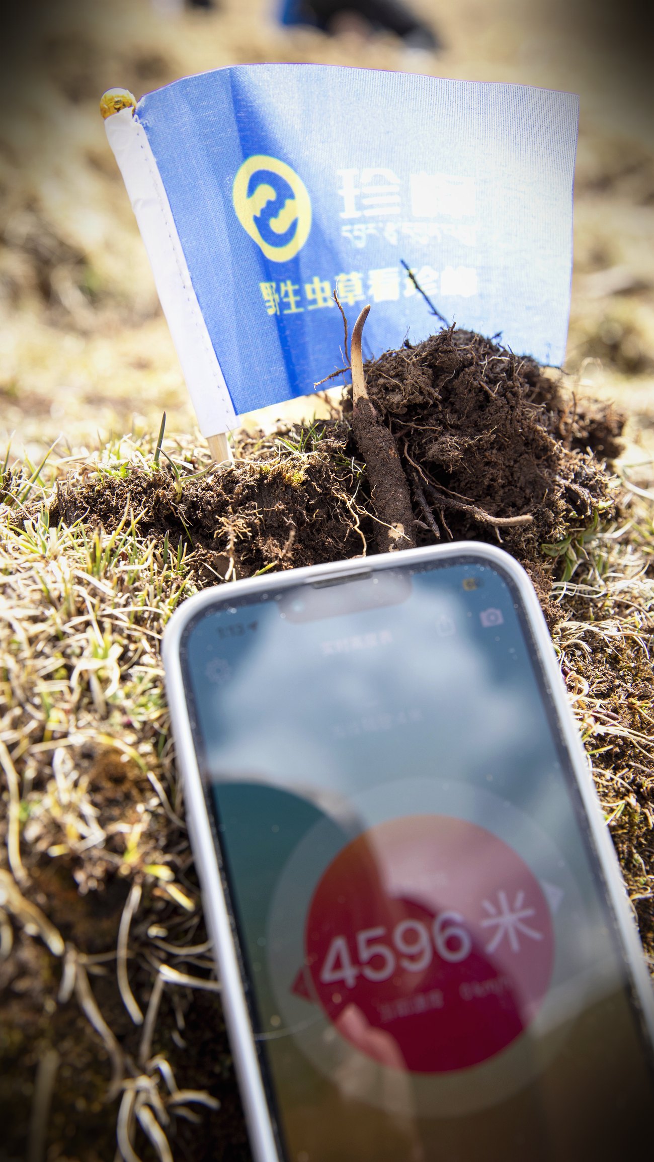 高度表实测 · 珍峰的收草海拔