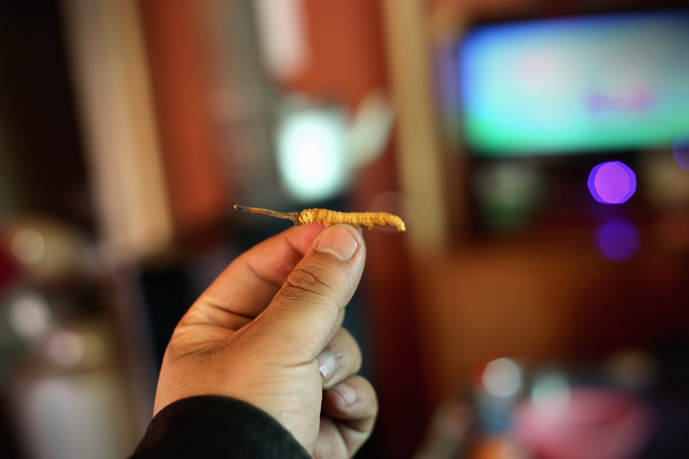 源头现收