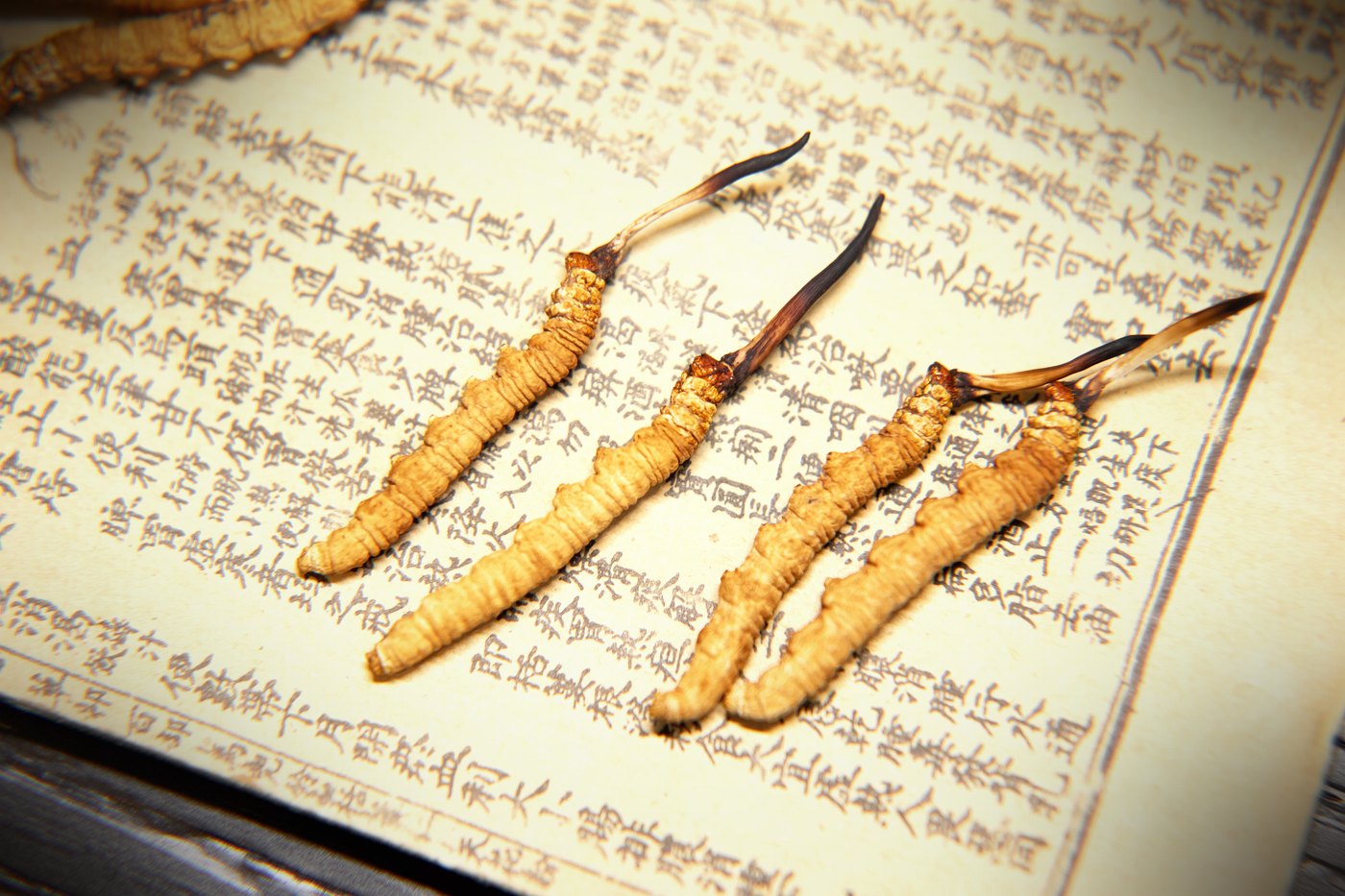 一级干虫草