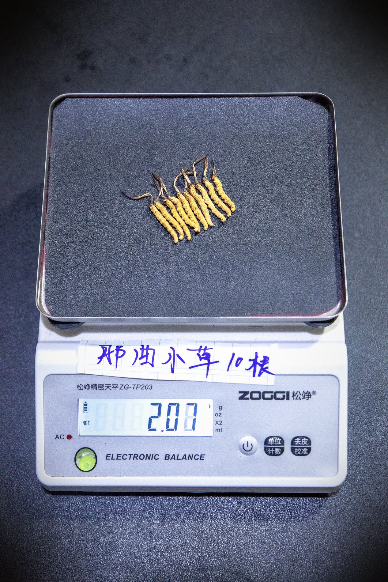 干虫草特写