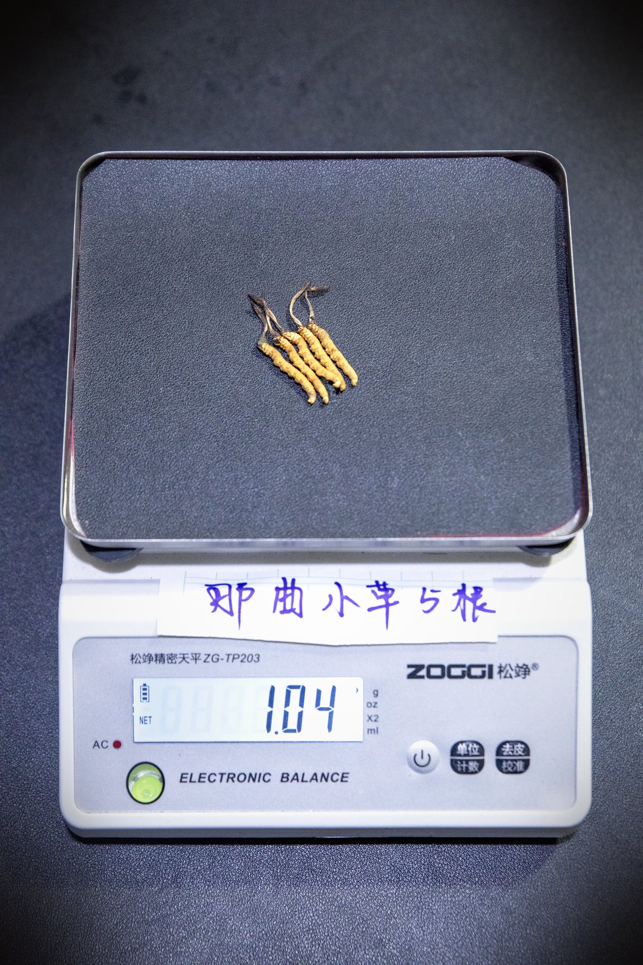 干虫草特写