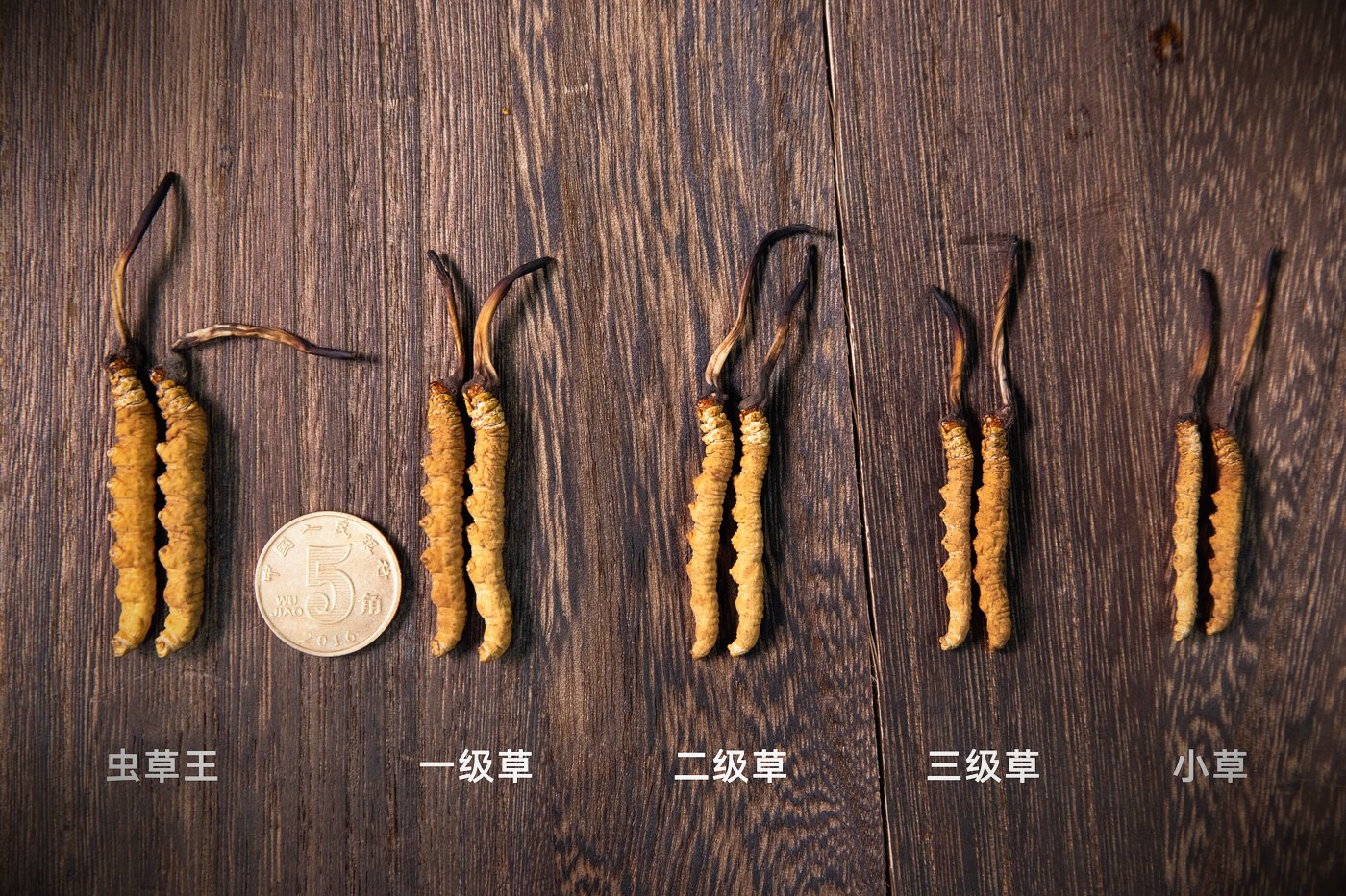 等级实物比对