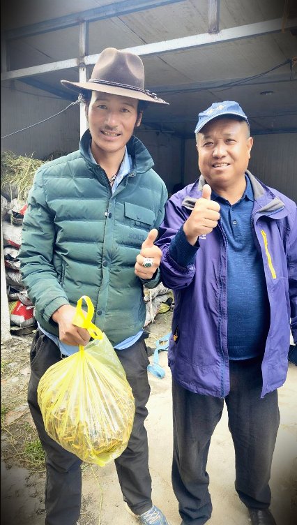 源头现收 · 草从牧民手里直接进仓库