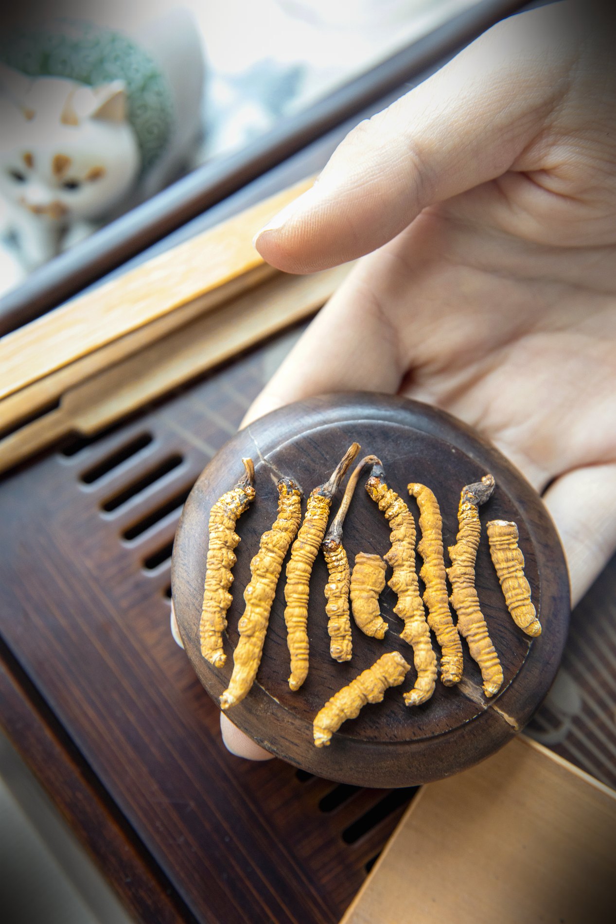 干虫草特写