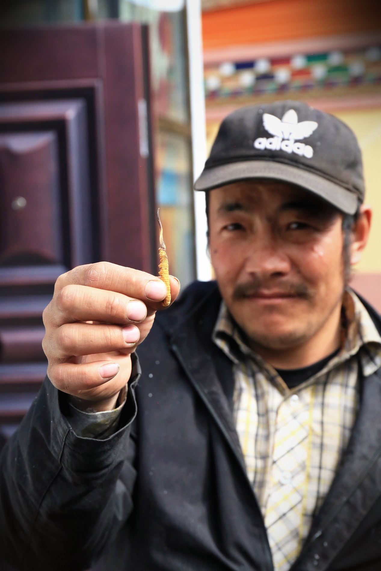 源头现收