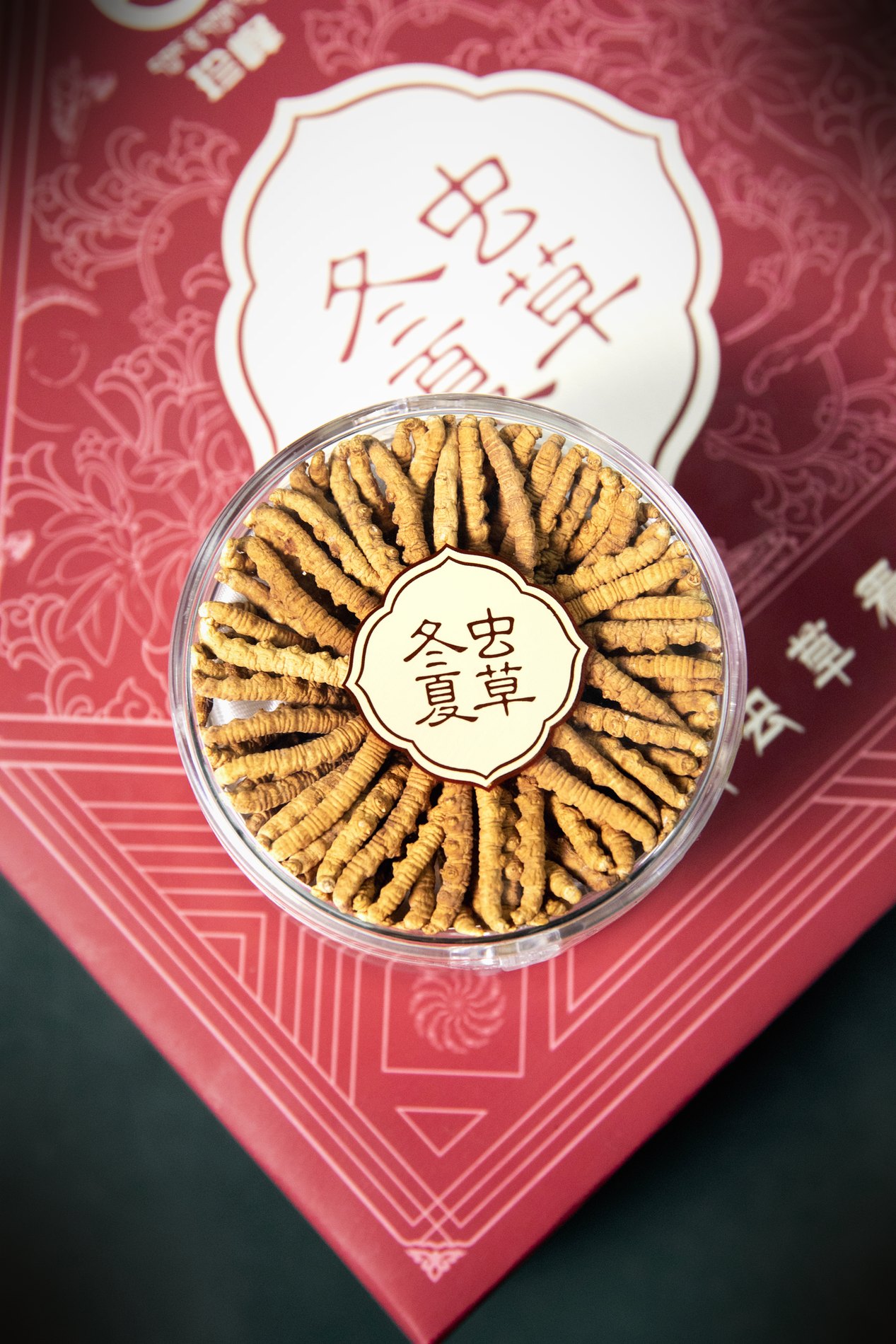 干虫草特写