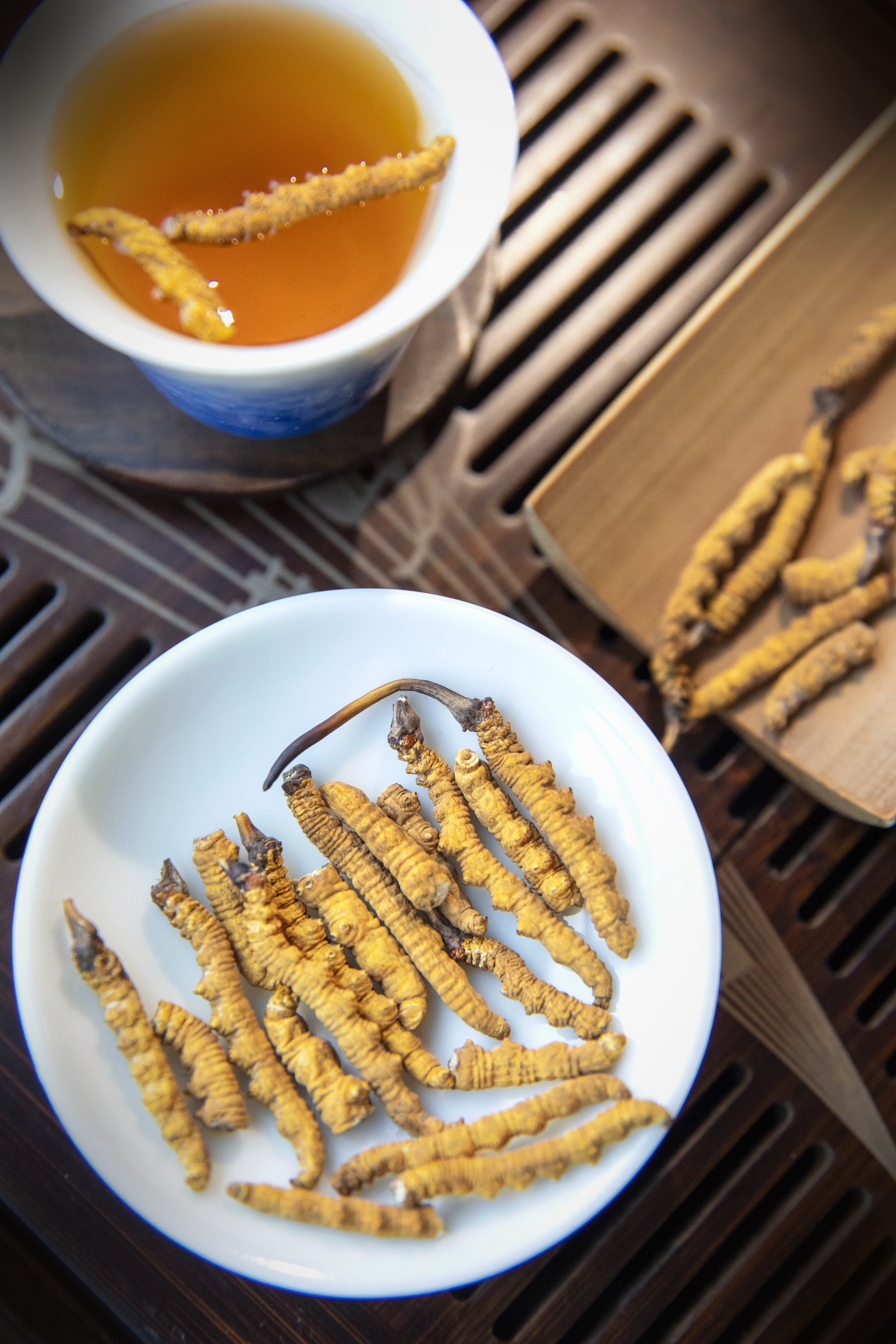 干虫草特写