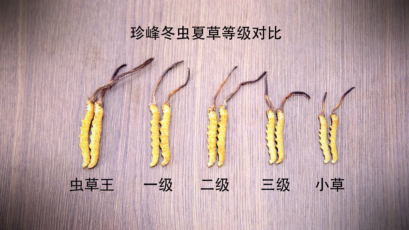 逐项对照
