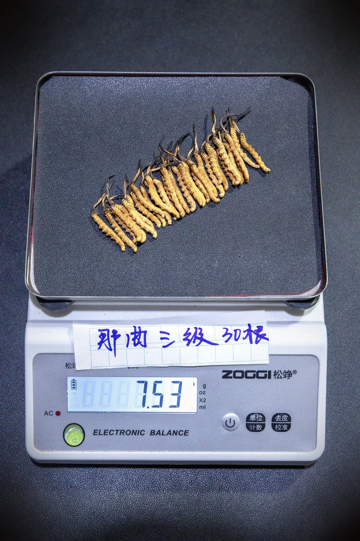 干虫草特写