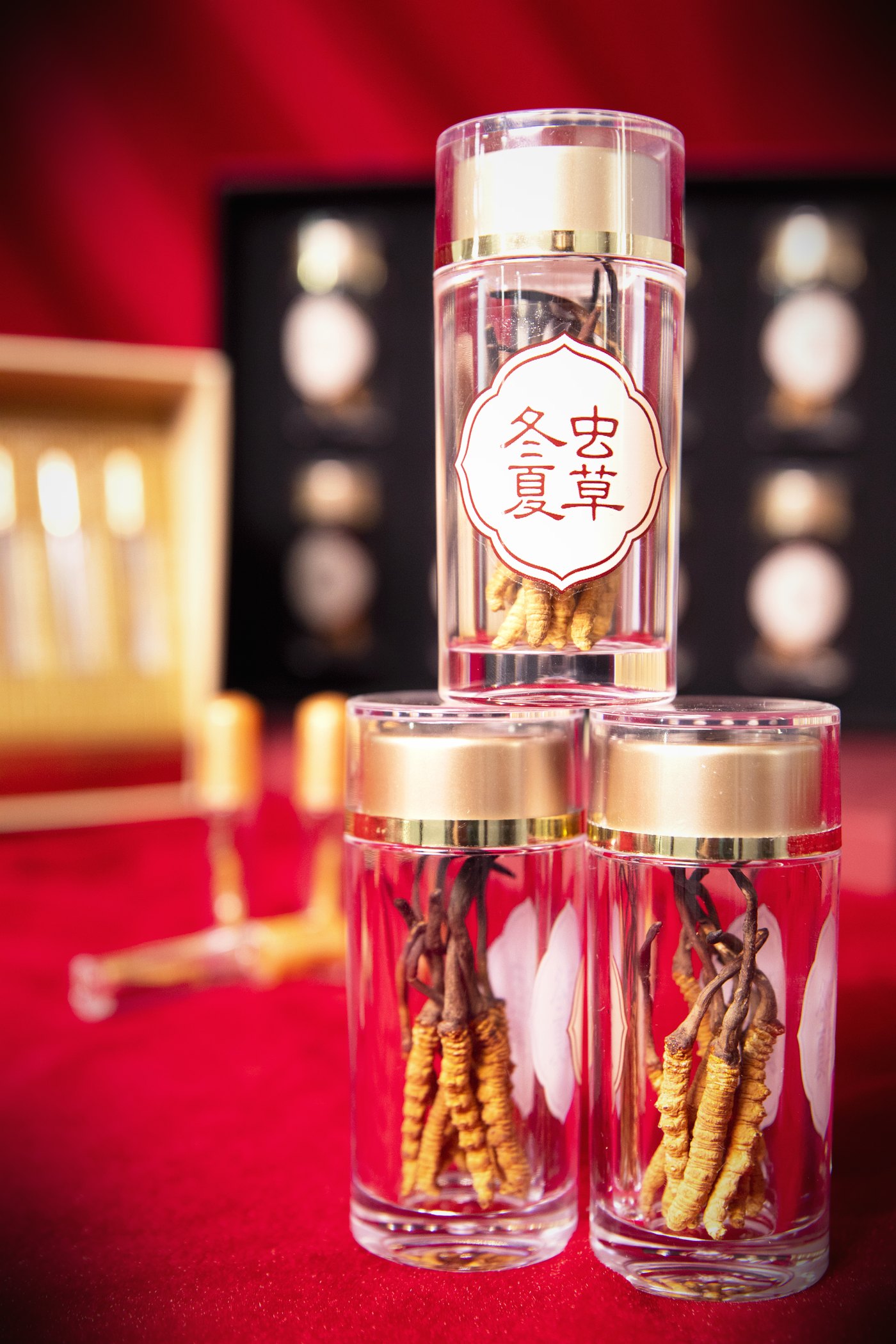干虫草特写