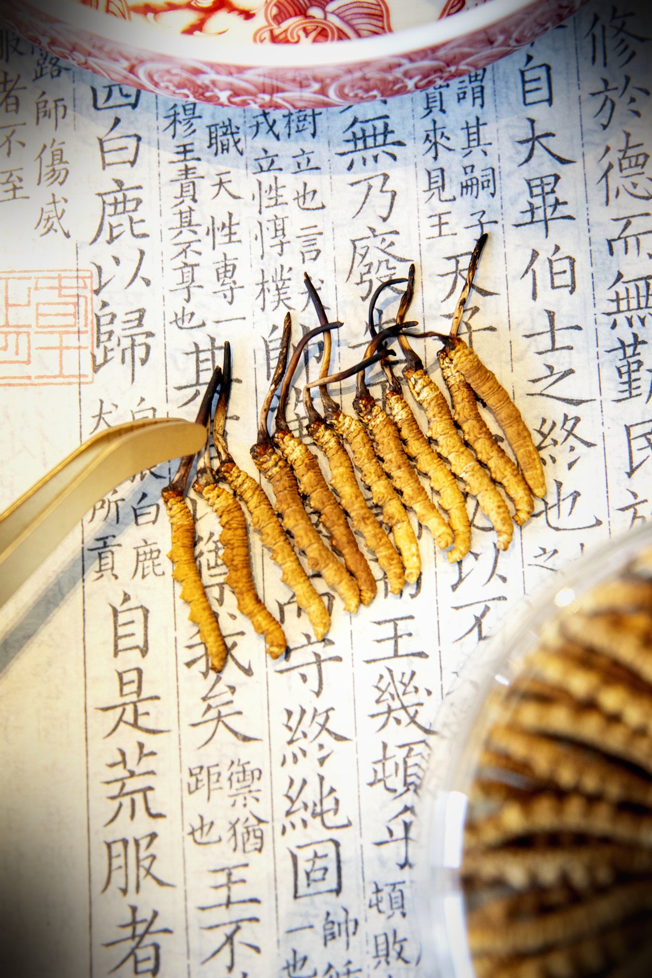 珍峰野生干虫草