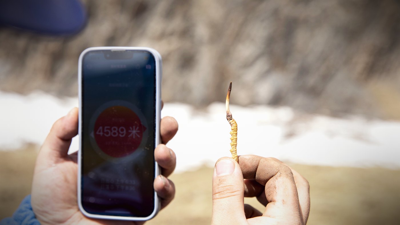 高度表实测 · 珍峰的收草海拔