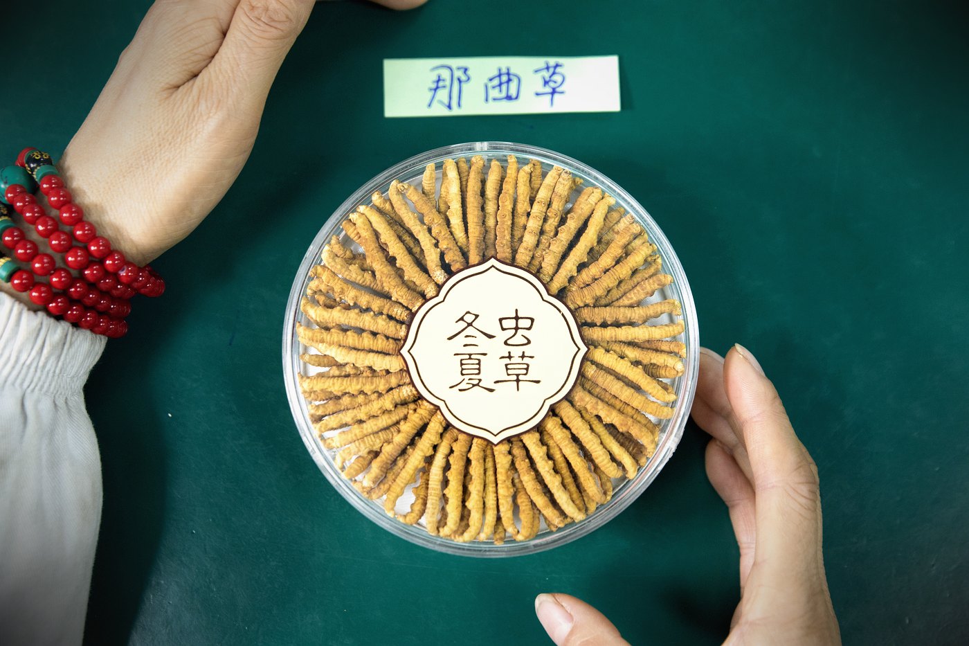 干虫草特写