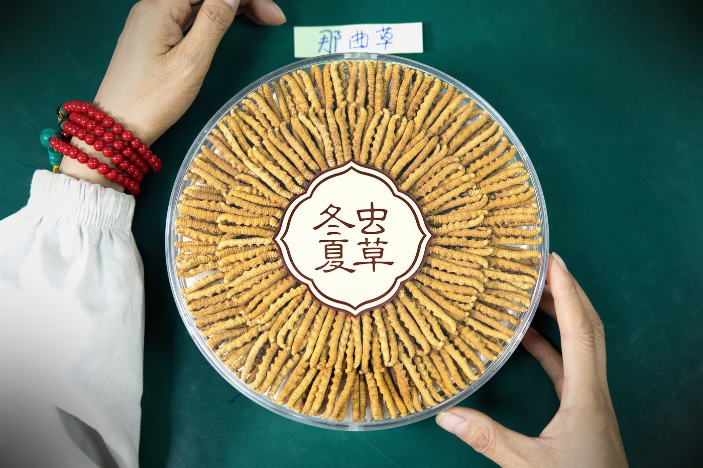 干虫草特写