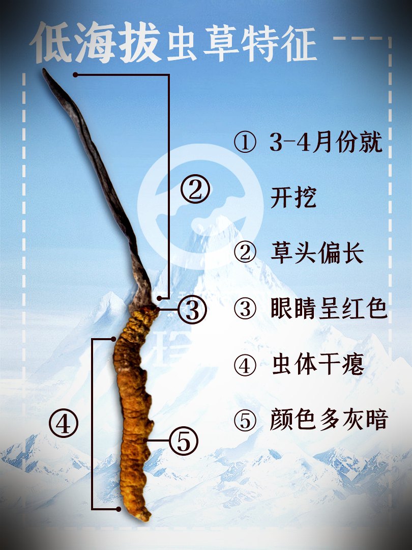 真假鉴别要点图