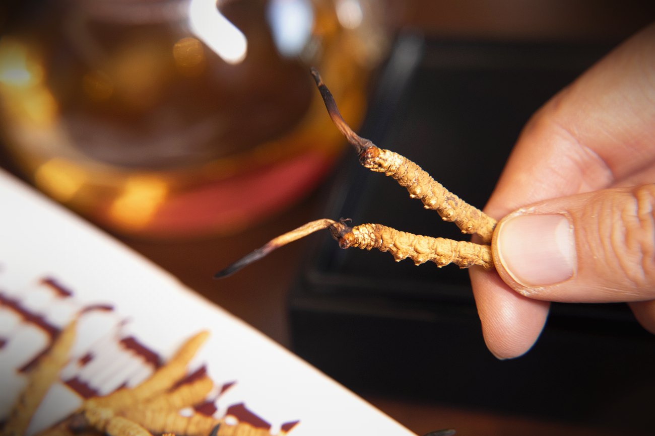 珍峰野生干虫草