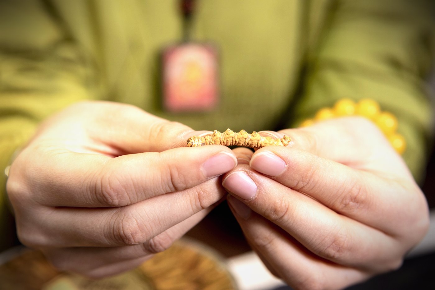 干虫草特写