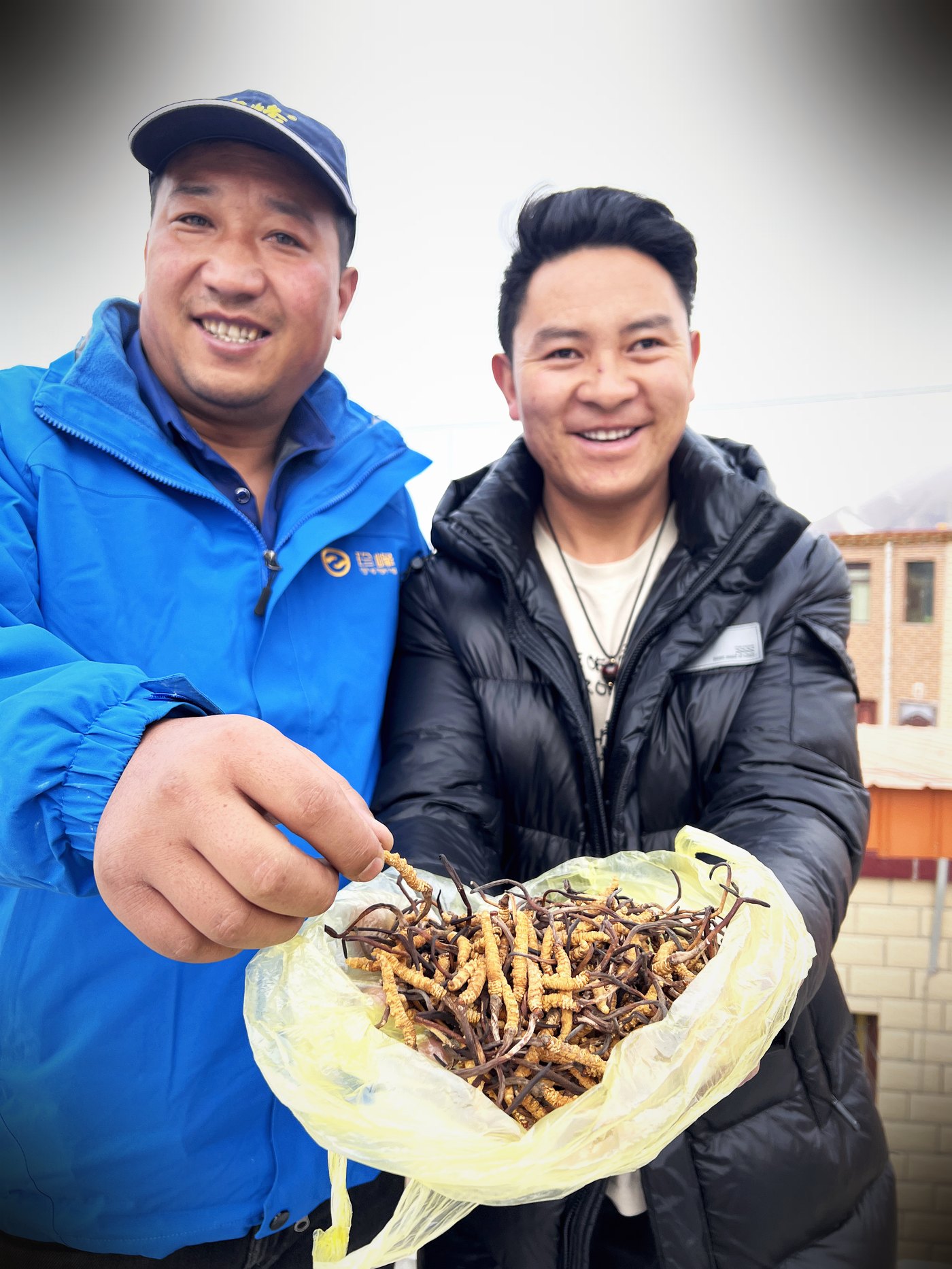逐项对照