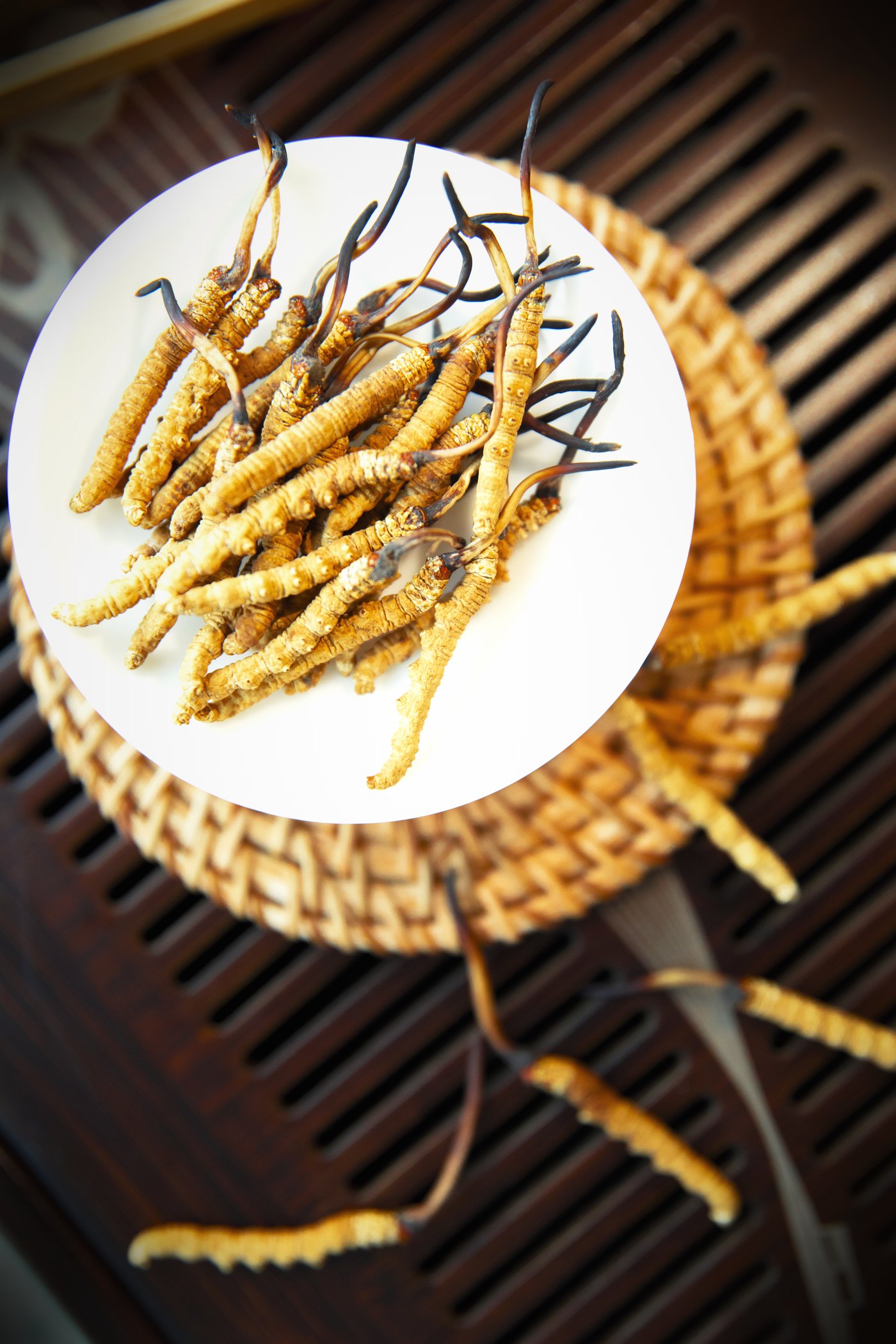 干虫草特写