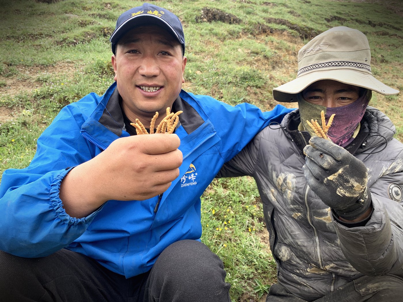 源头现收 · 草从牧民手里直接进仓库