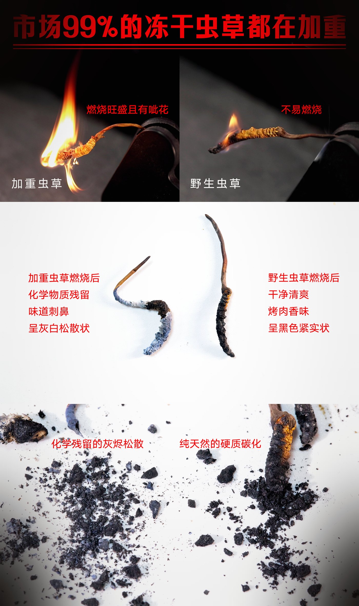 常见混淆品与伪品实物对照