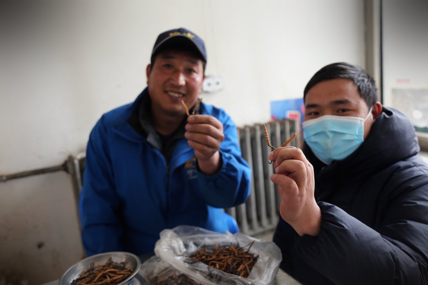 源头现收 · 草从牧民手里直接进仓库