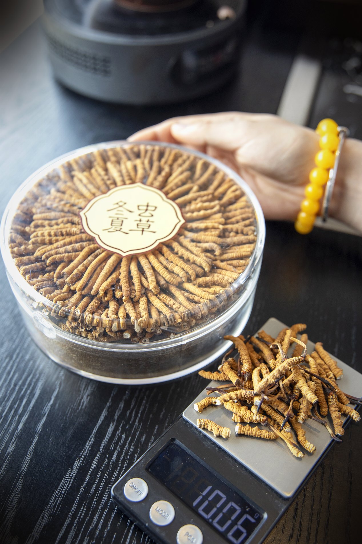 干虫草特写