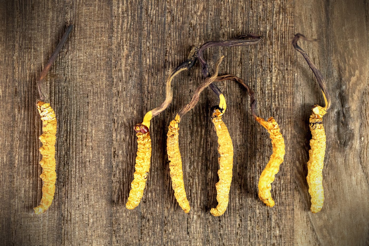 伪品实拍