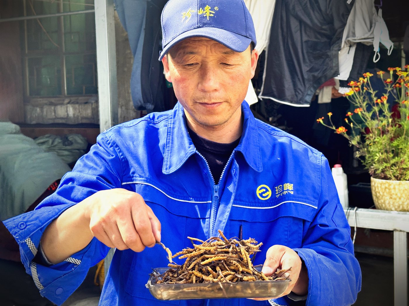 逐项对照