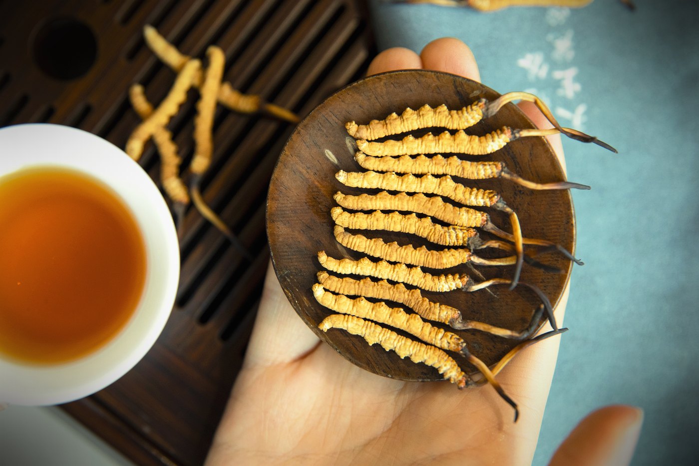 干虫草特写