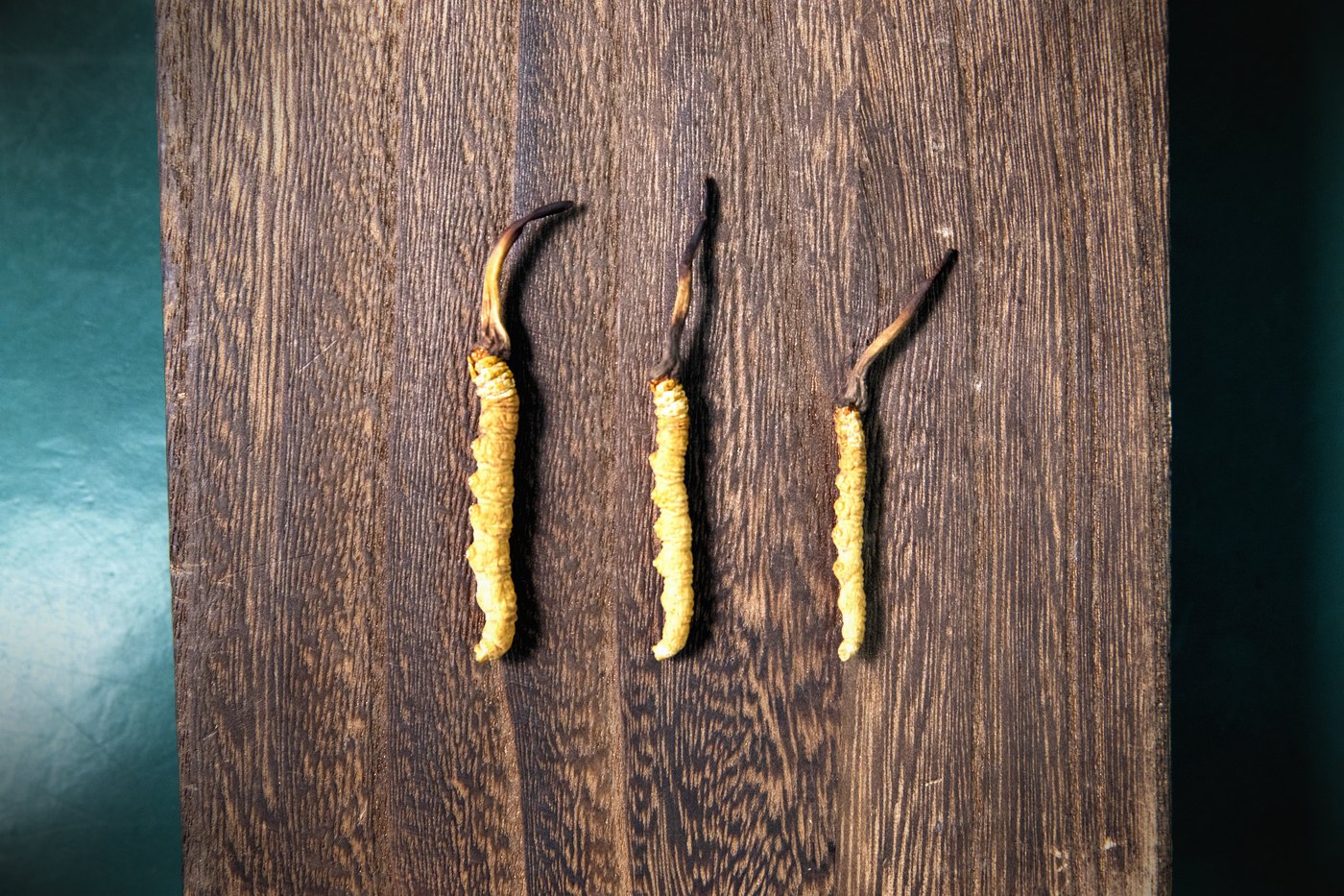 等级实物比对
